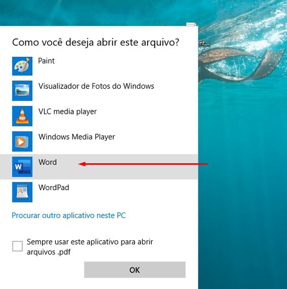 conversão pdf em word