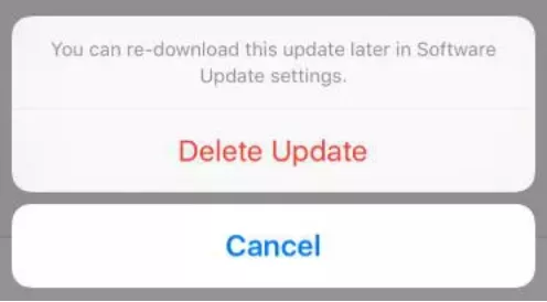 iPhone stuck in update - delete update